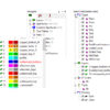 netlist generation